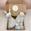Coffret Cadeau de Luxe Tricot Bébé - Gris
